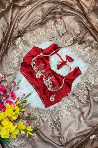Warm Brown Color  embroidery thread work Tissue Organza Saree