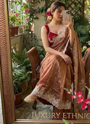 Warm Brown Color  embroidery thread work Tissue Organza Saree 5