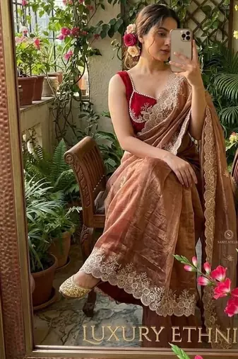 Warm Brown Color  embroidery thread work Tissue Organza Saree
