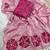 Pink Color cutdana Work Silk Saree
