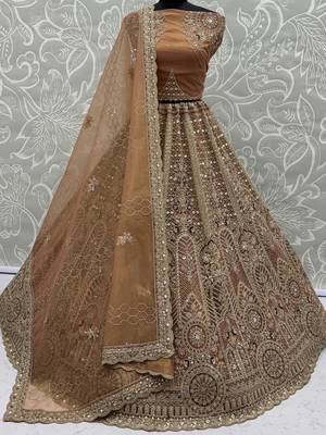 Sparkling Brown Multi Thread Work Net Reception Wear Lehenga Choli 8