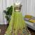 Parrot Green Color  thread with Sequnce Work Organza Silk Lahenga Choli Set
