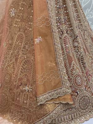 Sparkling Brown Multi Thread Work Net Reception Wear Lehenga Choli 9