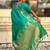 Teal silk blend saree with golden zari motifs & rite woven pallu | traditional festive wear saree