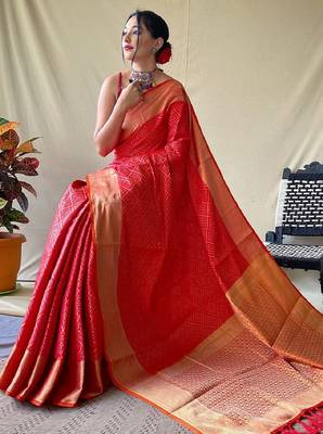 Red woven self design embellished pure silk patola saree with blouse 2