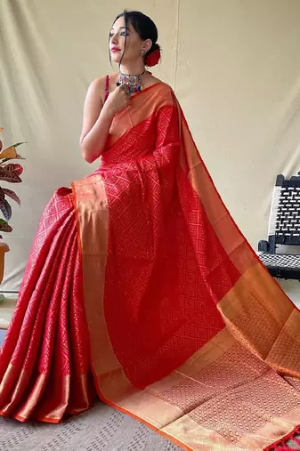Red woven self design embellished pure silk patola saree with blouse