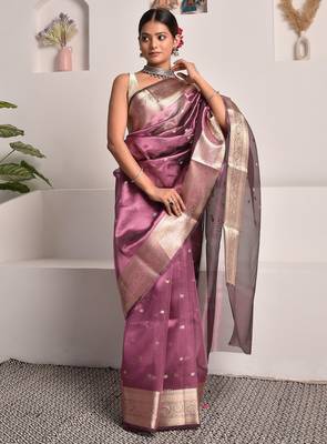 Wine banarasi tissue saree with zari booties 3