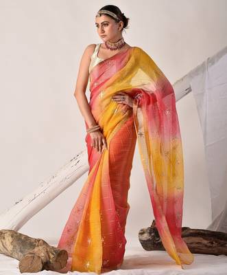 Multicolor pittan work kota silk saree 3