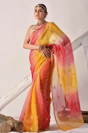 Multicolor pittan work kota silk saree
