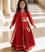 Red Embroidered Raw Silk Lehenga Set