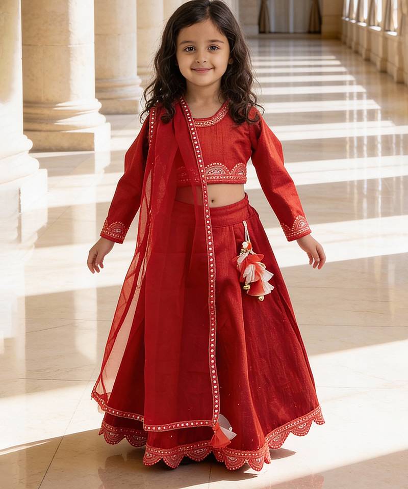 Red Embroidered Raw Silk Lehenga Set