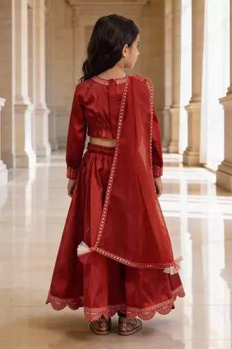 Red Embroidered Raw Silk Lehenga Set