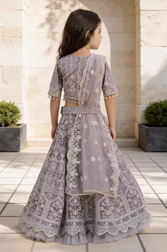 Lilac Embroidered Net Lehenga Set
