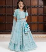 Sky Blue Embroidered Net Lehenga Set