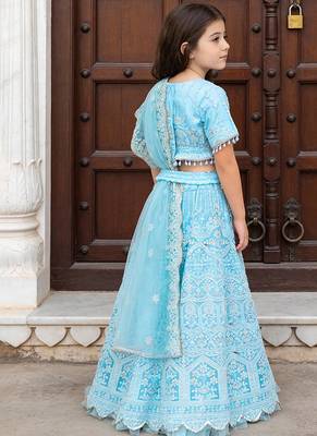 Sky Blue Embroidered Net Lehenga Set 2
