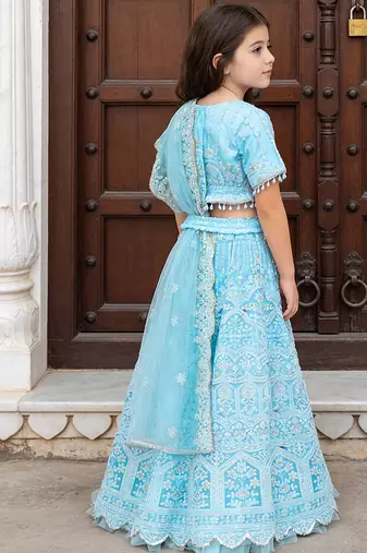 Sky Blue Embroidered Net Lehenga Set