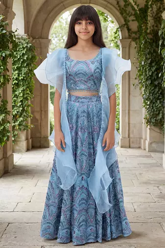 Powder Blue Embroidered Net Lehenga Set