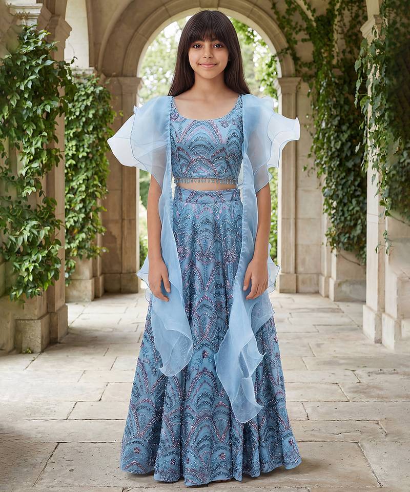 Powder Blue Embroidered Net Lehenga Set