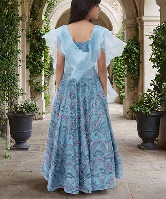 Powder Blue Embroidered Net Lehenga Set 2