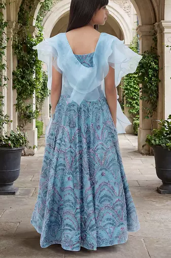 Powder Blue Embroidered Net Lehenga Set