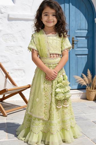 Pista Green Embroidered Net Lehenga Set