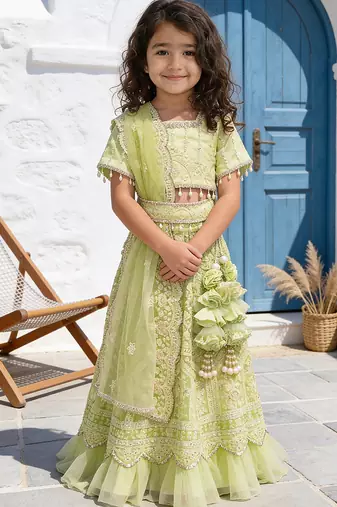 Pista Green Embroidered Net Lehenga Set