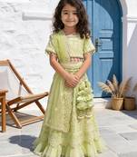 Pista Green Embroidered Net Lehenga Set