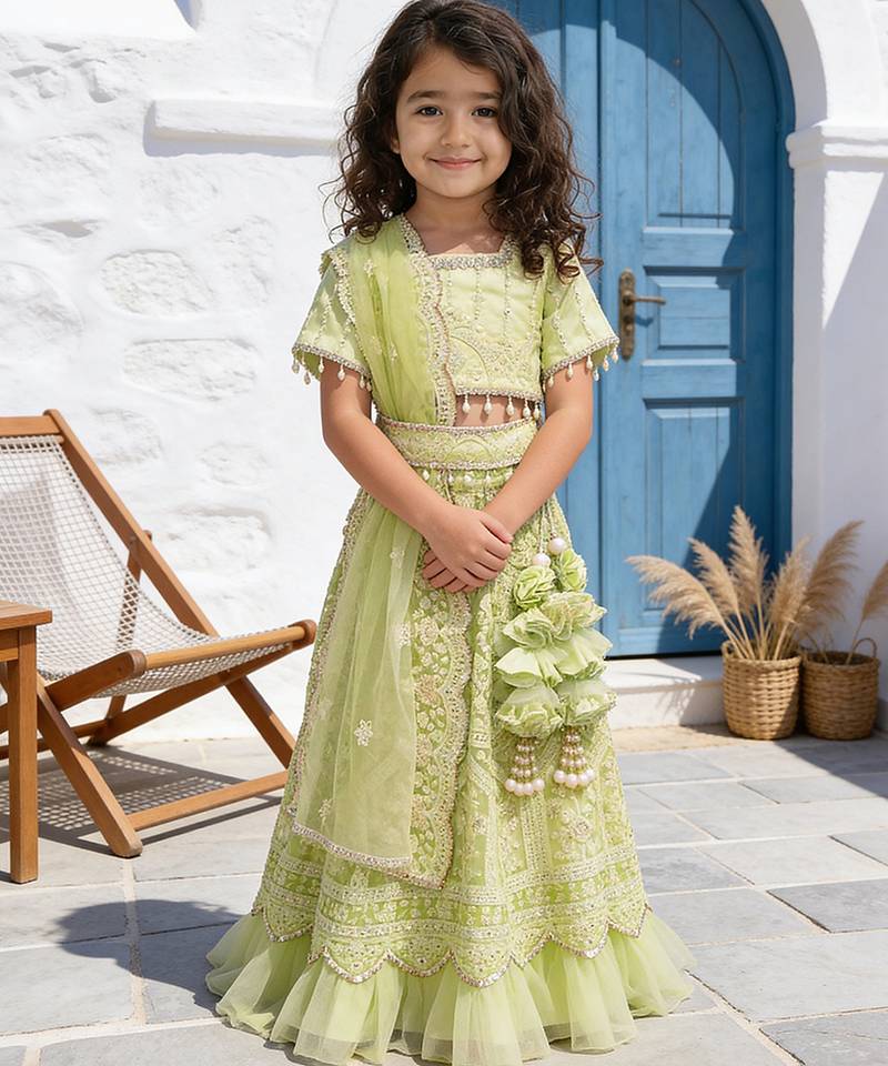 Pista Green Embroidered Net Lehenga Set
