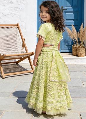 Pista Green Embroidered Net Lehenga Set 2
