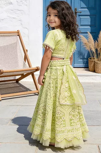 Pista Green Embroidered Net Lehenga Set