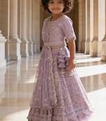 Lilac Embroidered Net Lehenga Set