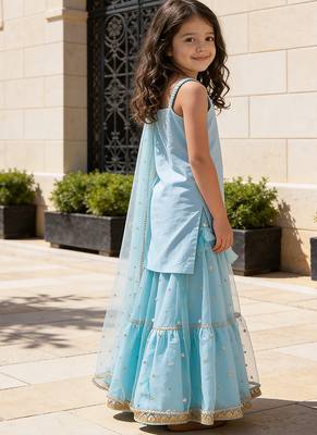 Sky Blue Embroidered Georgette Lehenga Set 2