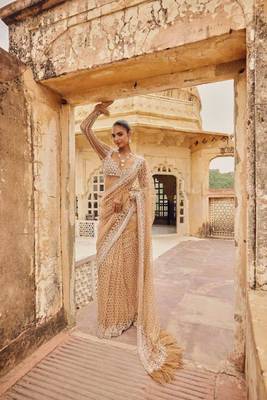 Beige embroidered work net saree 1