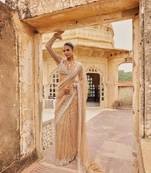 Beige embroidered work net saree