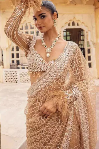 Beige embroidered work net saree