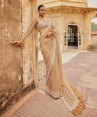 Beige embroidered work net saree 3