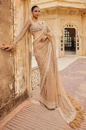 Beige embroidered work net saree