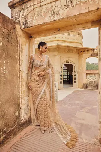 Beige embroidered work net saree