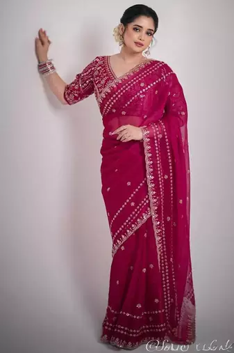 Pink silk \blend sequin net saree