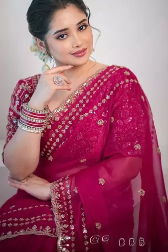 Pink silk \blend sequin net saree