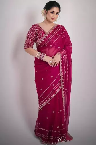 Pink silk \blend sequin net saree