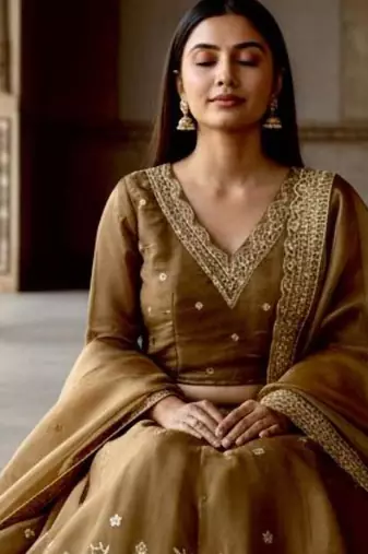 Brown Embroidered Silk Lehenga Choli Set