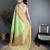 Light green pashmina silk meenakari weaving madhubani design kashmiri saree