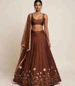 Brown Embroidered Silk Lehenga Set
