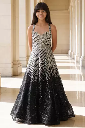 Silver black embroidered net gown