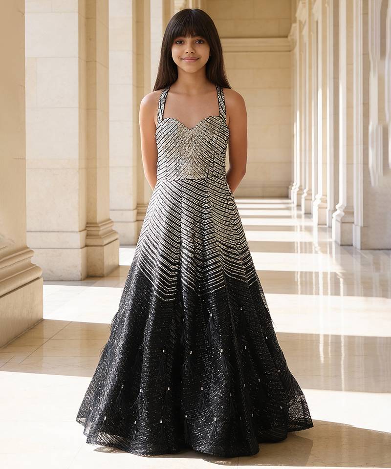 Silver black embroidered net gown