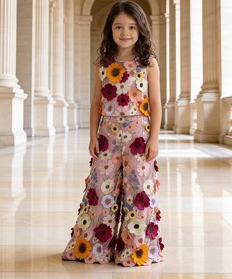 Pink embroidered multi floral net co ord set 1