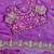 Magenta Color embroidery sequence border work Chiffon Saree