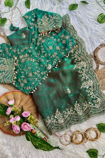 Sea Green color embroidery sequence border work Chiffon Saree