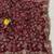Wine Color Beads With Copper Sequins Work Satin Silk Saree